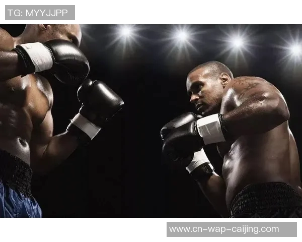 刘易斯与迈考尔的巅峰对决谁将成为拳击界的新王者