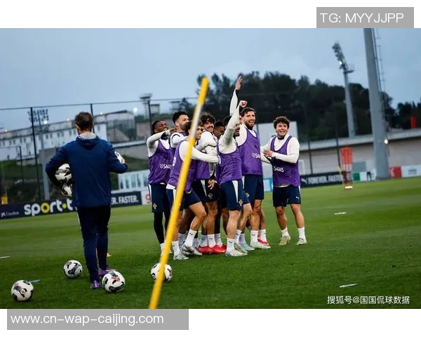 欧国联冰岛与丹麦对阵阵容分析及比赛前瞻